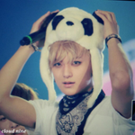 [EXO] 판다판다