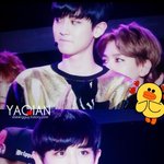 [EXO] 수상소감얘기할때찬열이나올때<b>함성</b>소리들었냐너네