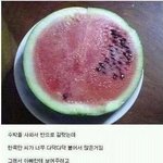 [유머] 아빠이씨<b>바라</b>.jpg