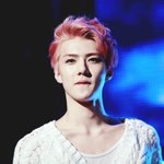 [EXO] 진심으로 세훈이 걱정됨