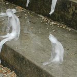 [<b>유머</b>] 녹아버린 인생.jpg
