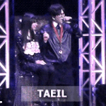 [블락비] 대체일본콘서트는왜때문에이러죠