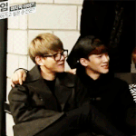 [EXO] 행복해 보이는 <b>비글</b> 두 마리