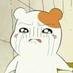 [EXO] ㅅㄷ동생이 과자다쳐머금