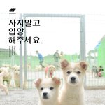 [입양홍보] 사지말고 입양하세요. - <b>영희</b>와 철수
