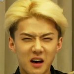 [EXO] 어이쿠지랄들을해라~~