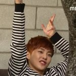 [시우민] 쇼탐)<b>미니</b>의 가로수길나무 열연!!