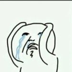[블락비] 오늘치마산거왔는데싸땀