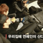 [CHEN] <b>종이</b>던지는종대