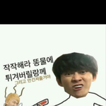 [블락비] 운영자 ㄱㄴ
