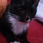 [애기야가자] 세상의 <b>중심</b>은 나라고 믿는 우리집애기!