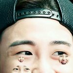 [블락비] 꿀벌들 다 자??!?!?