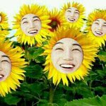 [<b>카이</b>] 인어들 종모<b>닝</b>~0~