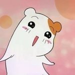 [블락비] 호우우리언니가블락비좋게봄