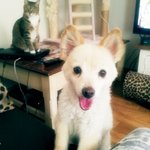 [4멍10냥] <b>내복</b>이네 동물가족 첫공개