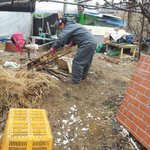 [양주보호소] 2월8일 양주보호소 소식입니다~