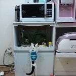 콩이  가 나에게로 와서 벌써 6개월이되었네요