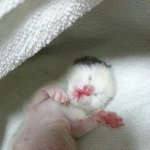 +추가 *코피주의* 내가 키운 아이들