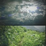 [김치<b>채널</b>] 지식<b>채널</b><b>e</b> - 딜레마