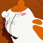 [<b>xoxo</b>] 헐 ㅋㅋ벌써올라왔어(+으르렁 리믹스버전)