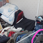 [꼭댓글부탁] 고양이가점점미쳐가요..