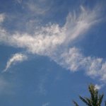내<b>첫</b>구름<b>사진</b>은 이거야