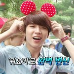[인피니트] 동물짤<b>머리띠</b>짤