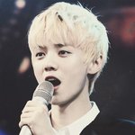 [EXO] 야..루루보고 오니까