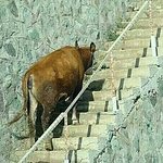 [에프티] 에프티?