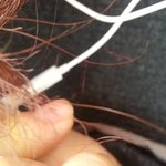 쿠팡<b>쿠폰</b>으로 망한 머리 어떻게 보상받나요