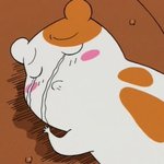 [백현] 이로써 우리들의 <b>소원</b>은.