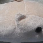 [시우민] ㅅㄷ)인형뽑았엌ㅋㅋ대따컼ㅋㅋ