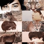 [EXO] <b>동물</b>에 비유한 엑소 