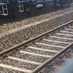 한방다이어트 비용 얼마나 한방다이어트한약 먹으면 빠지나요