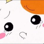 [백현] 꽃님이들다들어와바ㅋㅋㅋㅋㅋㅋ댓글말이야