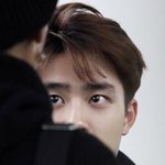 [EXO] 긴쮸가 이런 눈빛으로 쳐다보면 어떡할거야?