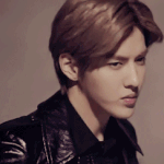 [인피니트] 여기서 난리치는 엑팬들 <b>pdf</b> 캡쳐중이니까 깝치지마...