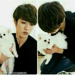 [인피니트] 가탄같은거 한번더했음좋겟다