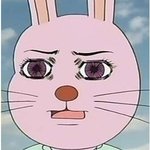 [EXO] 엑소 <b>국적</b>