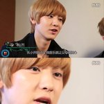 [깹숑] <b>버섯</b> 열이