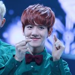 [백현] 변백현<b>탐구</b>생활