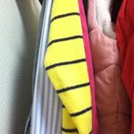 [블락비] 꿀벌니트<b>산후</b>로옷장?옷걸이?만보면