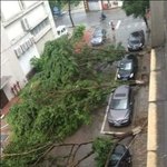 [유머] 주<b>차선</b>을 지켜야하는이유.jpg