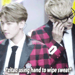 [백현] 중국에서 여전히 <b>평화</b>로웠던 소고기들 