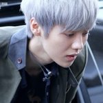 [루한] 이 <b>머리</b>는...이사진 <b>한</b>장이 끝일까...