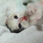 꼭 읽어주셨으면 하는 글