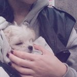 우리 집 재간<b>둥이</b> 통씨