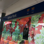 [LIFE]뉴질랜드- 오클랜드에서 가봐야할 Sylvia <b>park</b>!