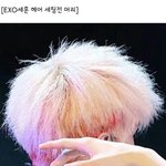 [EXO] <b>오세훈</b>머리봐라