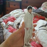 [시우민] 밍쏙이랑 <b>뉴질랜드</b>